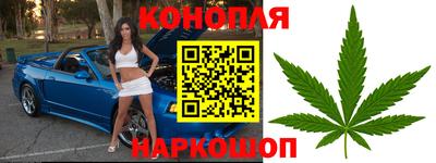 мяу мяу мука Ирбит