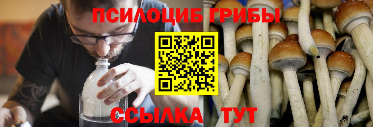 Псилоцибиновые грибы мухоморы Лабытнанги