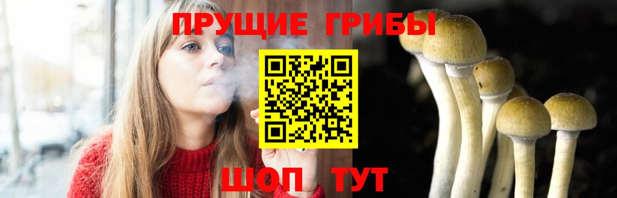 Галлюциногенные грибы Magic Shrooms  Вход с VPN  Лабытнанги  Галлюциногенные грибы Cubensis 